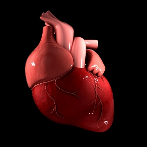 Cardiac Disorders